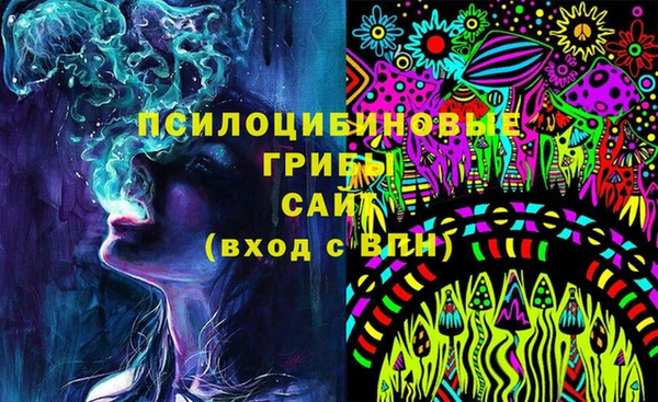 хмурый Покров