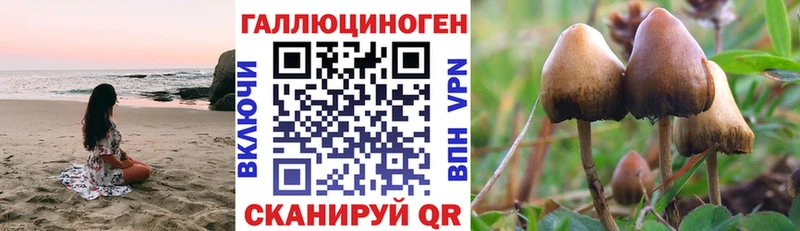 Галлюциногенные грибы GOLDEN TEACHER  Краснотурьинск 