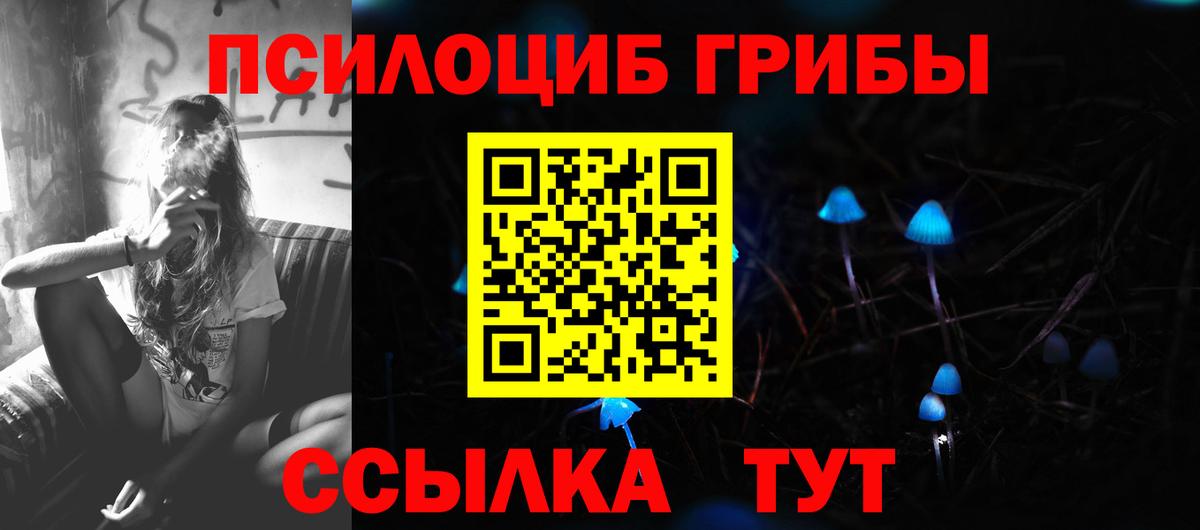 Псилоцибиновые грибы Psilocybe  как найти закладки  Псилоцибиновые грибы GOLDEN TEACHER  Краснотурьинск  Вход с VPN 
